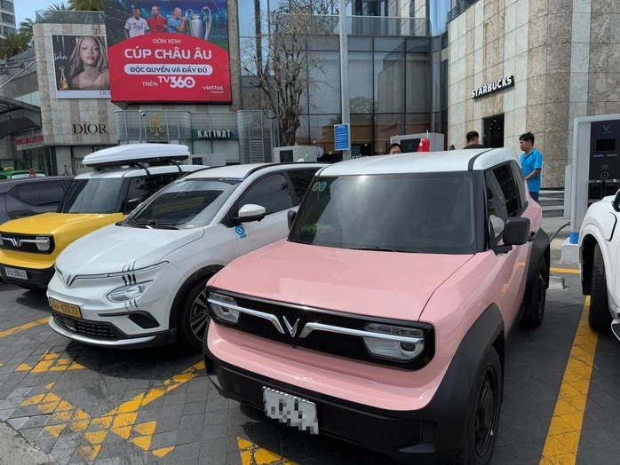 Đề xuất mới về mức đóng lệ phí trước bạ, người mua xe điện hưởng lợi Đề xuất mới về mức đóng lệ phí trước bạ, người mua xe điện hưởng lợi