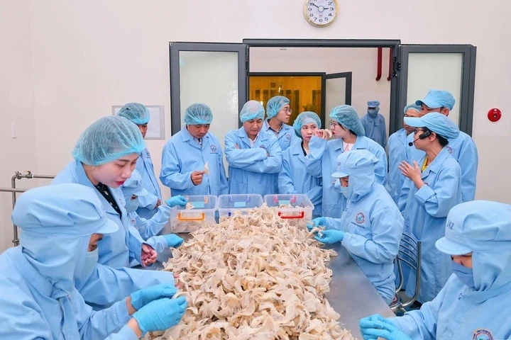 Đĩa cơm, tô phở, ly cà phê lên mức giá mới, gần 60% hàng quán thừa nhận tăng giá Đĩa cơm, tô phở, ly cà phê lên mức giá mới, gần 60% hàng quán thừa nhận tăng giá