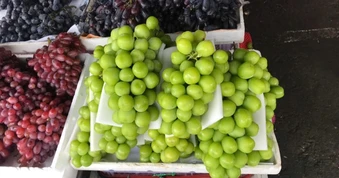 Điều gì khiến nho mẫu đơn Trung Quốc rớt thảm chỉ còn 40.000 đồng/kg?