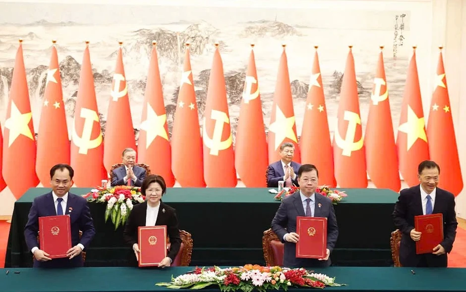 Điều kiện để bưởi, chanh Việt được xuất khẩu chính ngạch sang Trung Quốc Điều kiện để bưởi, chanh Việt được xuất khẩu chính ngạch sang Trung Quốc