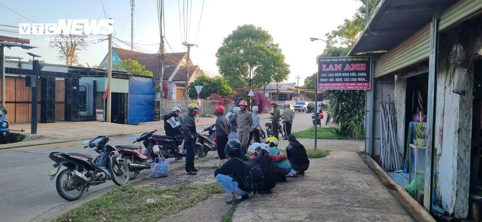 'Đỏ mắt' tìm nhân công hái hồ tiêu ở Đắk Lắk, trái chín rụng đầy vườn 'Đỏ mắt' tìm nhân công hái hồ tiêu ở Đắk Lắk, trái chín rụng đầy vườn