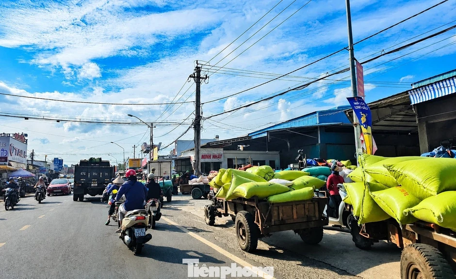 Đổ xô đi bán cà phê Đổ xô đi bán cà phê