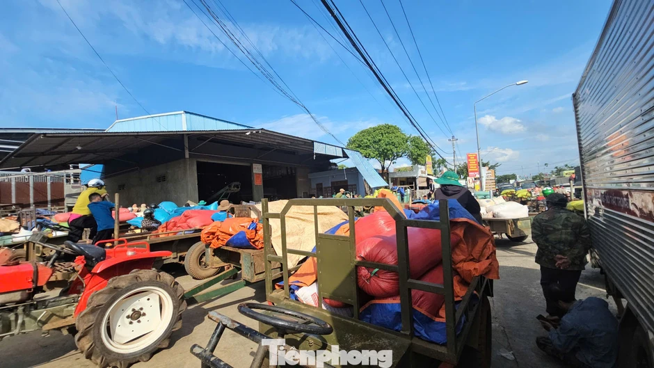 Đổ xô đi bán cà phê Đổ xô đi bán cà phê