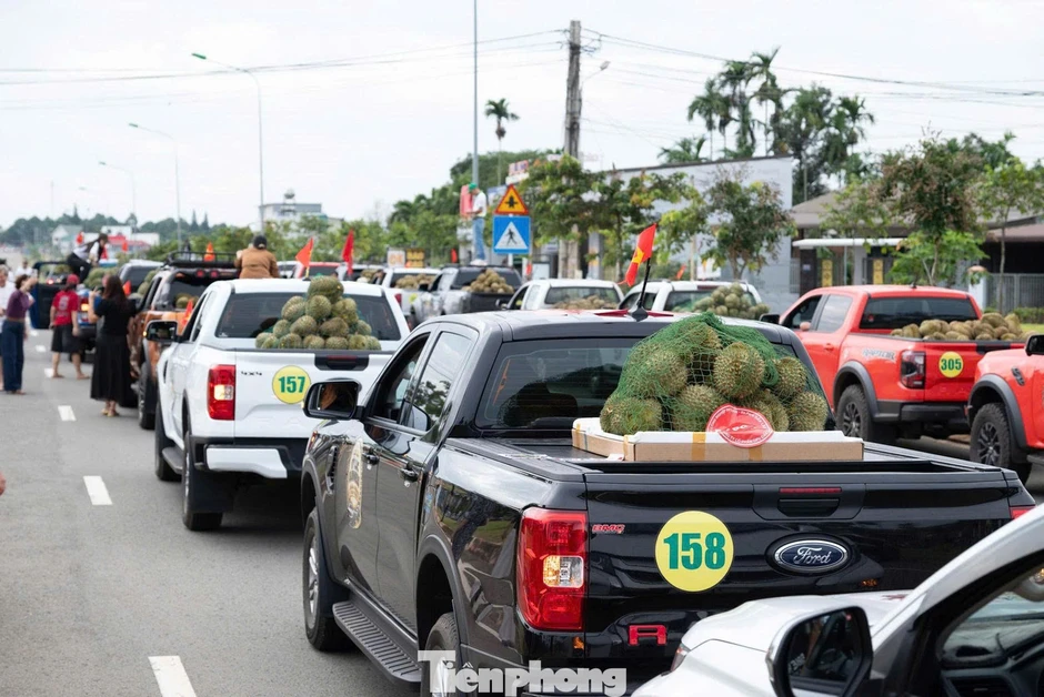 Đoàn xe chở sầu riêng 'độc nhất vô nhị' tại Đắk Lắk