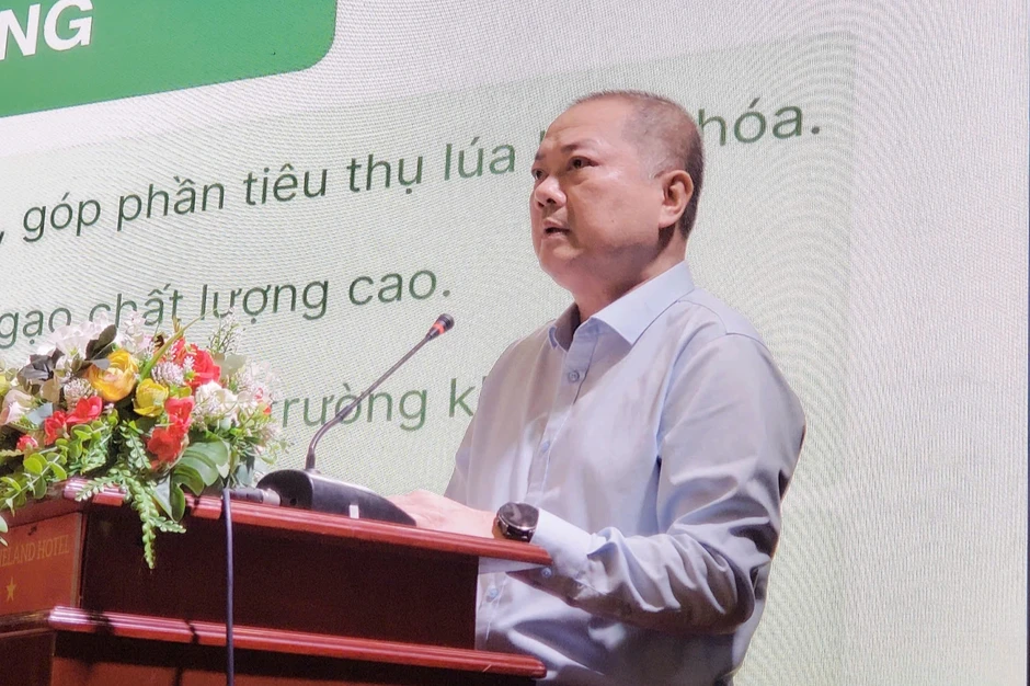 Doanh nghiệp cần có kế hoạch xuất khẩu gạo phù hợp với từng giai đoạn Doanh nghiệp cần có kế hoạch xuất khẩu gạo phù hợp với từng giai đoạn