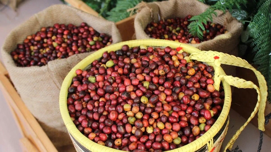 Doanh nghiệp cần lưu ý: Trung Quốc sắp siết nhập khẩu hàng nghìn nông sản Doanh nghiệp cần lưu ý: Trung Quốc sắp siết nhập khẩu hàng nghìn nông sản