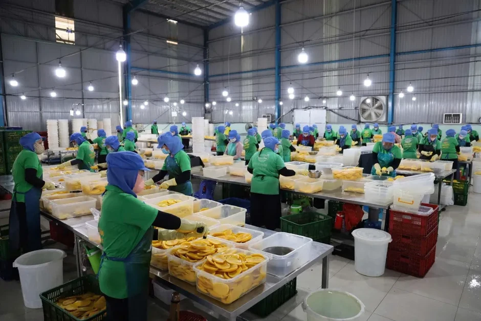 Doanh nghiệp Việt nâng chuẩn để gia nhập thị trường thực phẩm 863 tỷ USD Doanh nghiệp Việt nâng chuẩn để gia nhập thị trường thực phẩm 863 tỷ USD