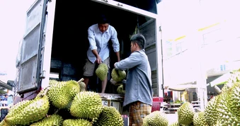 Doanh nghiệp xuất khẩu thực phẩm sang Trung Quốc phải đăng ký theo lệnh mới