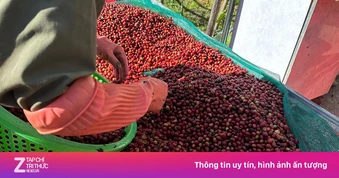 Doanh nghiệp xuất khẩu 'tìm đường' mở rộng thị trường