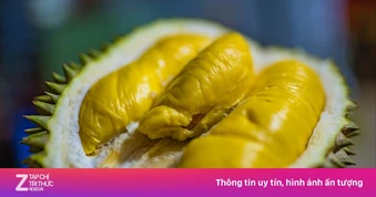 Đối thủ của sầu riêng Việt Nam có lợi thế mới