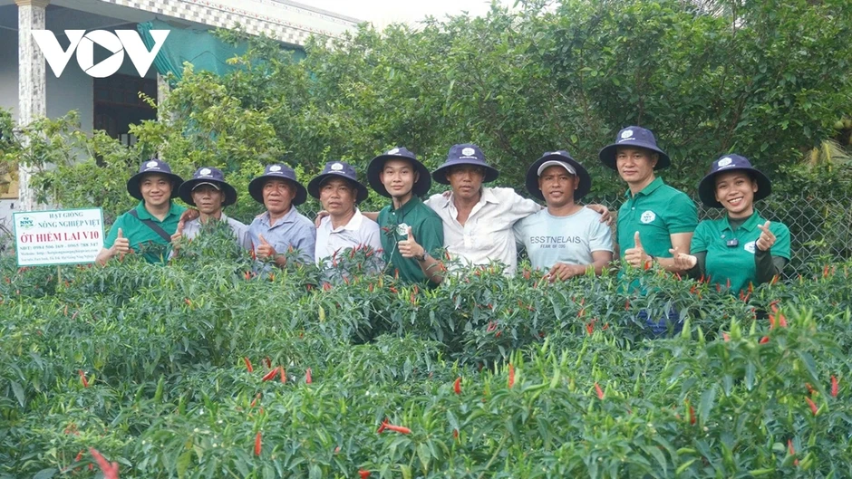 Đồng Tháp: Nhiều loại nông sản dội hàng, sụt giá, nhà nông thua lỗ Đồng Tháp: Nhiều loại nông sản dội hàng, sụt giá, nhà nông thua lỗ