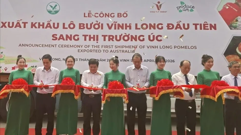 Đồng Tháp, Vĩnh Long xuất khẩu lô bưởi đầu tiên sang thị trường Úc Đồng Tháp, Vĩnh Long xuất khẩu lô bưởi đầu tiên sang thị trường Úc
