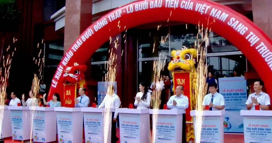 Đồng Tháp, Vĩnh Long xuất khẩu lô bưởi đầu tiên sang thị trường Úc Đồng Tháp, Vĩnh Long xuất khẩu lô bưởi đầu tiên sang thị trường Úc