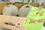 Dưa lưới gần 1 tỷ đồng/cặp có gì đặc biệt?