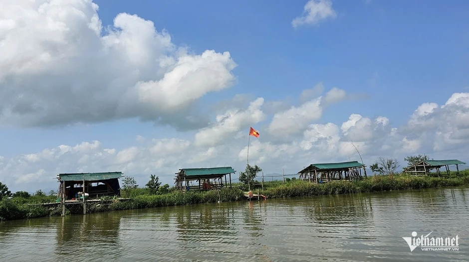 Dứt bỏ nghề nậu chim, người đàn ông Quảng Trị dựng hệ sinh thái bạc tỷ giữa đầm phá Dứt bỏ nghề nậu chim, người đàn ông Quảng Trị dựng hệ sinh thái bạc tỷ giữa đầm phá