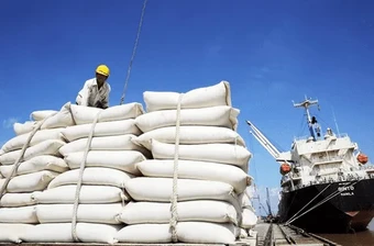 Gạo Việt Nam tăng mạnh thị phần tại Senegal