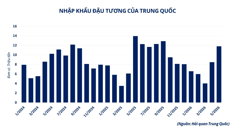 Giá cà-phê, đậu tương tăng vọt, MXV-Index nối dài đà khởi sắc sang tuần thứ ba liên tiếp Giá cà-phê, đậu tương tăng vọt, MXV-Index nối dài đà khởi sắc sang tuần thứ ba liên tiếp