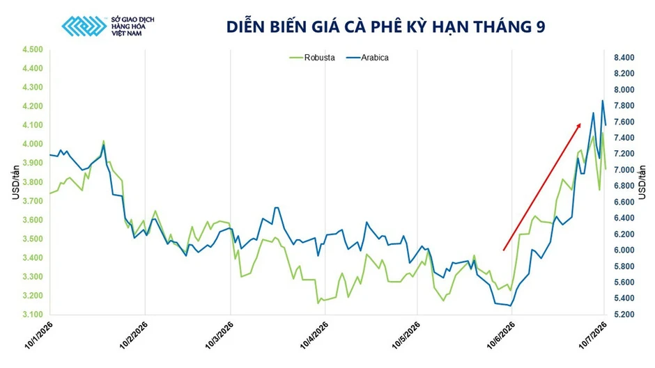 Giá cà-phê, đậu tương tăng vọt, MXV-Index nối dài đà khởi sắc sang tuần thứ ba liên tiếp Giá cà-phê, đậu tương tăng vọt, MXV-Index nối dài đà khởi sắc sang tuần thứ ba liên tiếp