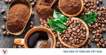 Giá cà phê hôm nay 12/4: Giá cà phê Robusta và Arabia đồng loạt tăng