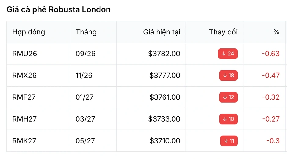 Giá cà phê hôm nay 12/8: Hướng tới mốc 98.000 đồng/kg Giá cà phê hôm nay 12/8: Hướng tới mốc 98.000 đồng/kg