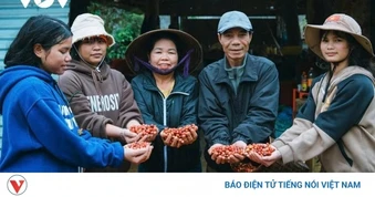 Giá cà phê hôm nay 14/5: Giá cà phê trong nước và thế giới cùng giảm