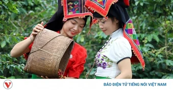 Giá cà phê hôm nay 16/4: Cà phê thế giới đồng loạt tăng