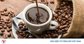 Giá cà phê hôm nay 16/5: Giá cà phê trong nước giảm 1.200 đồng/kg
