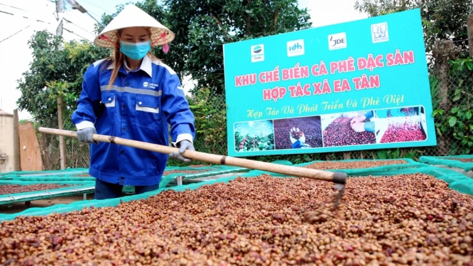 Giá cà phê hôm nay 17/6: Giá cà phê thế giới tăng trên 2 sàn quốc tế Giá cà phê hôm nay 17/6: Giá cà phê thế giới tăng trên 2 sàn quốc tế