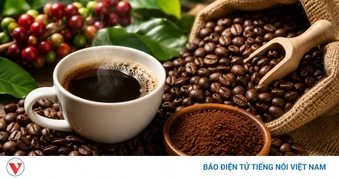 Giá cà phê hôm nay 207: Cà phê trong nước cao nhất 98.000 đồng/kg