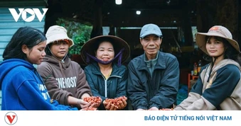 Giá cà phê hôm nay 22/5: Cà phê trong nước giảm nhẹ, cao nhất ở mức 86.100 đồng/kg