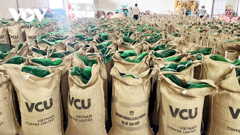 Giá cà phê hôm nay 23/4: Giá cà phê trong nước cao nhất 87.100 đồng/kg Giá cà phê hôm nay 23/4: Giá cà phê trong nước cao nhất 87.100 đồng/kg