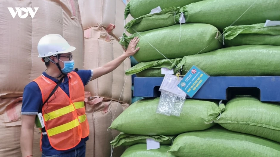 Giá cà phê hôm nay 23/6: Giá cà phê trong nước trung bình ở mức 89.300 đồng/kg Giá cà phê hôm nay 23/6: Giá cà phê trong nước trung bình ở mức 89.300 đồng/kg