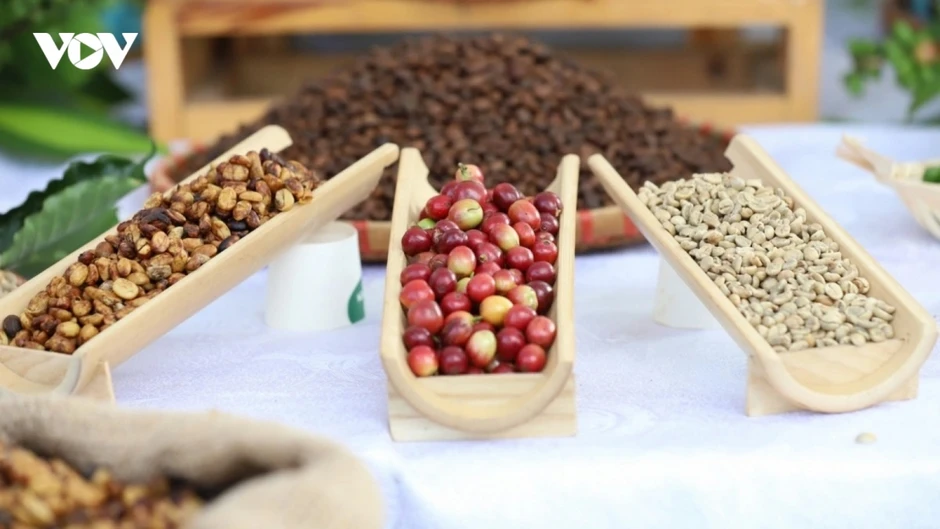 Giá cà phê hôm nay 25/6: Giá cà phê trong nước trung bình ở mức 88.700 đồng/kg Giá cà phê hôm nay 25/6: Giá cà phê trong nước trung bình ở mức 88.700 đồng/kg