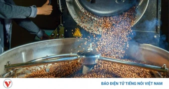 Giá cà phê hôm nay 25/7: Giá cà phê giảm trên cả hai sàn quốc tế