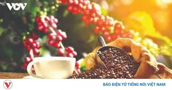 Giá cà phê hôm nay 29/7: Giá cà phê trong nước và thế giới cùng tăng