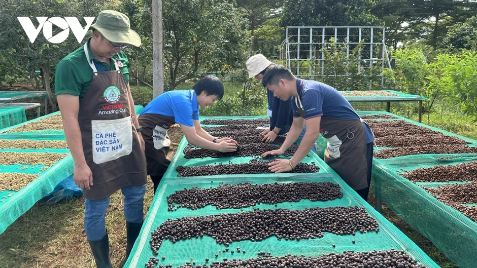 Giá cà phê hôm nay 30/3: Giá cà phê trong nước cao nhất 92.500 đồng/kg Giá cà phê hôm nay 30/3: Giá cà phê trong nước cao nhất 92.500 đồng/kg