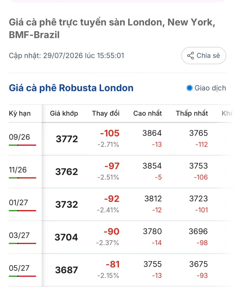 Giá cà phê hôm nay 30/7: Giá cà phê trong nước cao nhất 98.500 đồng/kg Giá cà phê hôm nay 30/7: Giá cà phê trong nước cao nhất 98.500 đồng/kg