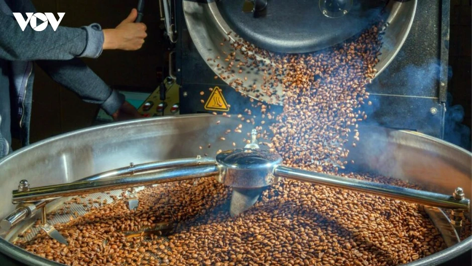 Giá cà phê hôm nay 7/8: Giá cà phê đồng loạt tăng trên cả 2 sàn quốc tế