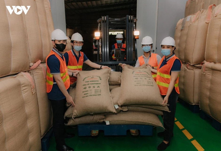 Giá cà phê hôm nay 9/7: Giá cà phê trong nước giảm 2.100 đồng/kg