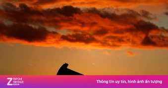 Giá dầu thô lại tăng