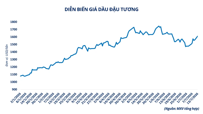 Giá dầu thô tăng vọt hơn 9%, MXV-Index nối dài đà khởi sắc Giá dầu thô tăng vọt hơn 9%, MXV-Index nối dài đà khởi sắc