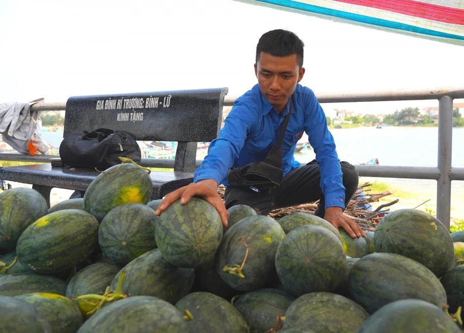 Giá dưa hấu giảm còn 3.000 đồng/kg, nông dân lo lắng giữa vụ mùa Giá dưa hấu giảm còn 3.000 đồng/kg, nông dân lo lắng giữa vụ mùa