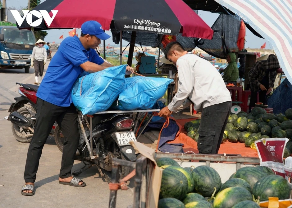 Giá dưa hấu giảm còn 3.000 đồng/kg, nông dân lo lắng giữa vụ mùa Giá dưa hấu giảm còn 3.000 đồng/kg, nông dân lo lắng giữa vụ mùa