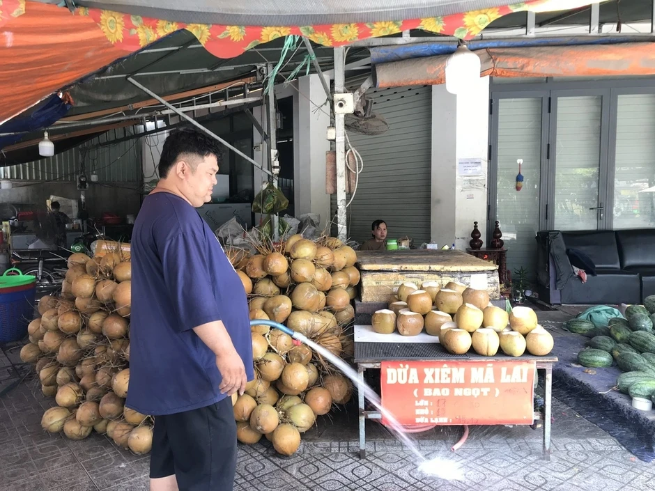 Giá dừa tươi tăng vọt nhờ nắng nóng và du lịch Giá dừa tươi tăng vọt nhờ nắng nóng và du lịch
