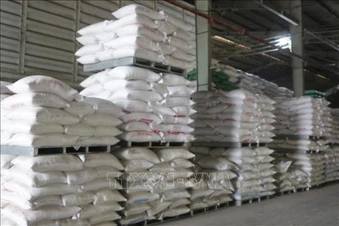 Giá gạo Việt Nam nhích tăng sau vụ Đông Xuân, Ấn Độ duy trì ổn định