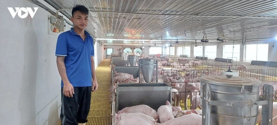 Giá heo hơi giảm xuống đáy, nhưng giá thịt heo ở chợ truyền thống gần như đứng yên Giá heo hơi giảm xuống đáy, nhưng giá thịt heo ở chợ truyền thống gần như đứng yên