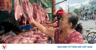 Giá heo hơi giảm xuống đáy, nhưng giá thịt heo ở chợ truyền thống gần như đứng yên
