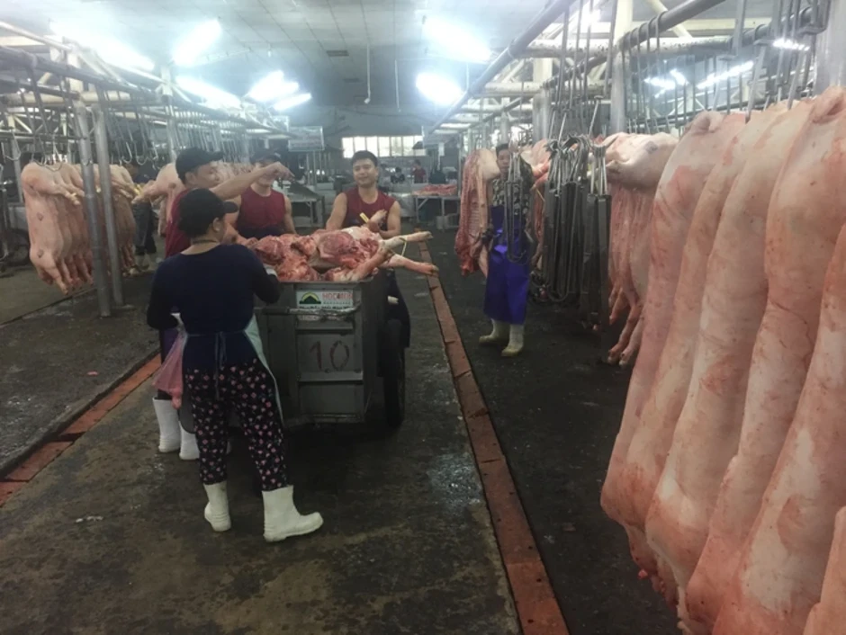 Giá heo hơi hôm nay, 23-2: Lượng heo về chợ giảm mạnh Giá heo hơi hôm nay, 23-2: Lượng heo về chợ giảm mạnh