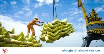 Giá lương thực toàn cầu tăng tháng thứ hai liên tiếp do xung đột ở Trung Đông