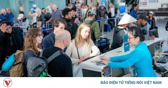 Giá nhiên liệu biến động mạnh, chi phí hàng không tăng tới 60%
